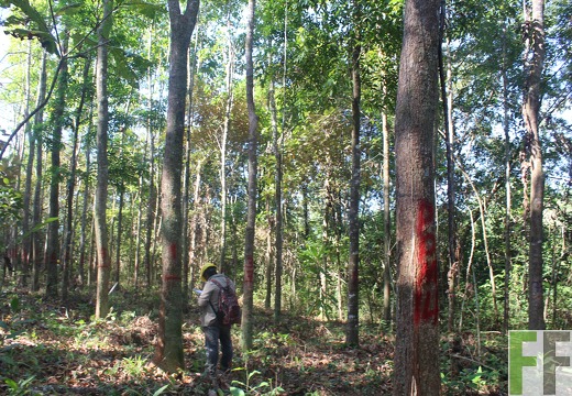 Finca El Espejo 2019