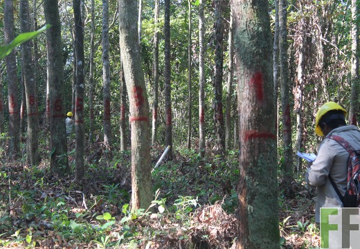 Finca El Espejo 2019