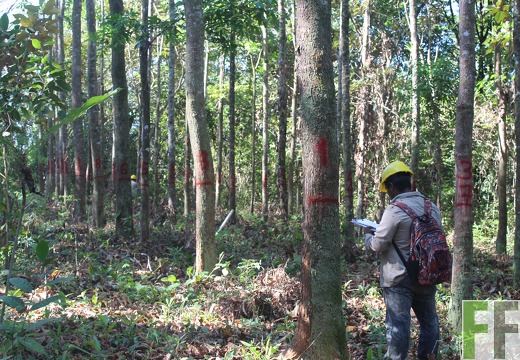 Finca El Espejo 2019