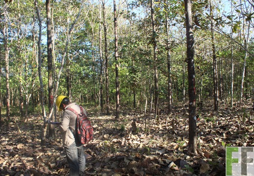 Finca El Espejo 2019