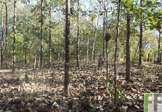 Finca El Espejo 2019