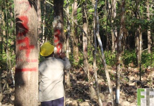 Finca El Espejo 2019