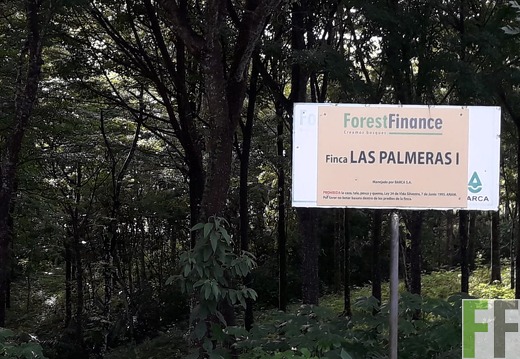 Las Palmeras 2018
