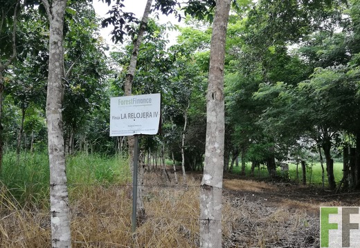 Finca La Relojera IV 2018