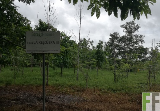 Finca La Relojera III 2018