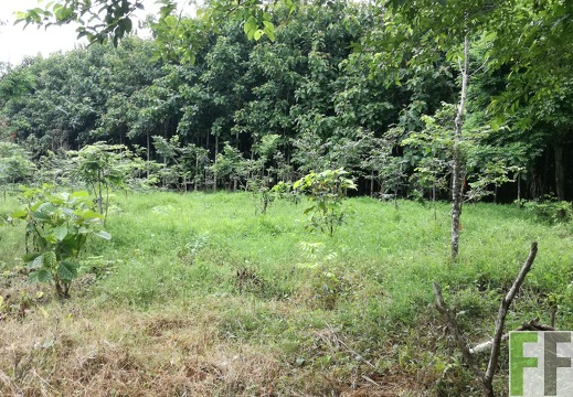 Finca La Relojera III 2018