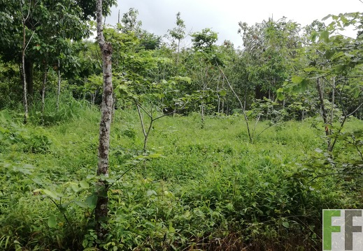 Finca La Relojera III 2018