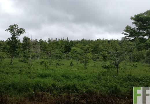 Finca La Relojera III 2018