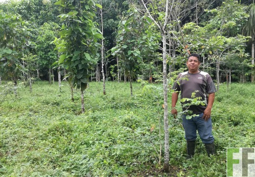 Finca La Relojera III 2018