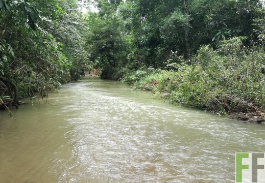 Finca Metetí I 2018