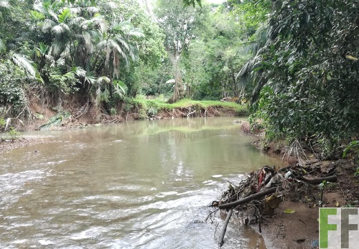 Finca Metetí I 2018