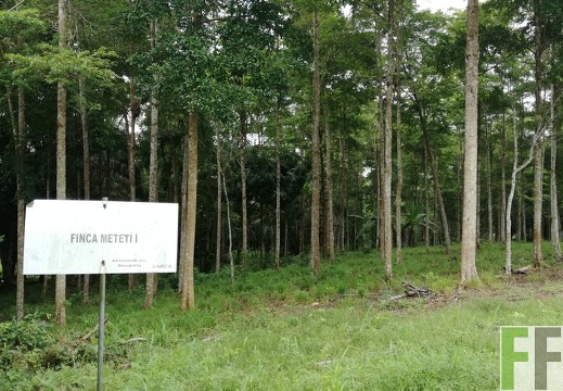 Finca Metetí I 2018