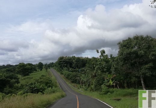 Finca La Colina 2018