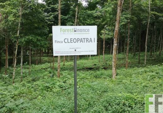 Finca Cleopatra I 2018