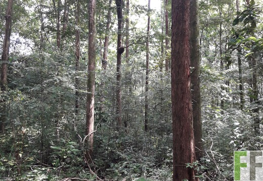 Finca El Catival 2018