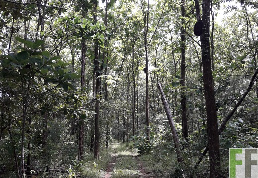 Finca El Catival 2018