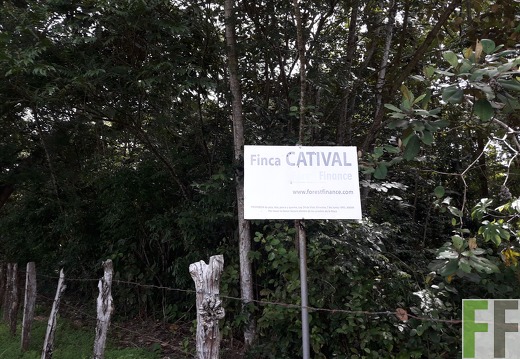 Finca El Catival 2018