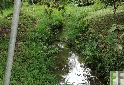 Finca Rio Uyama 2018