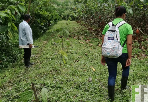 Finca Rio Uyama 2018