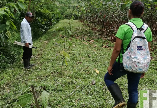 Finca Rio Uyama 2018