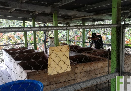 Finca Rio Uyama 2018