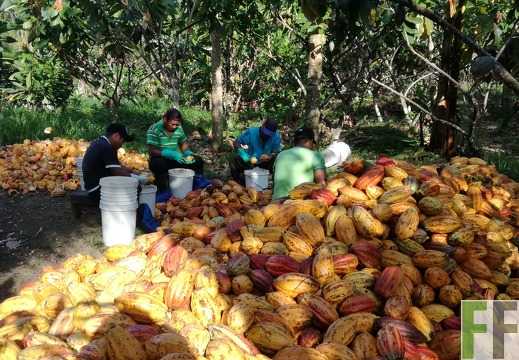 Finca Rio Uyama 2018