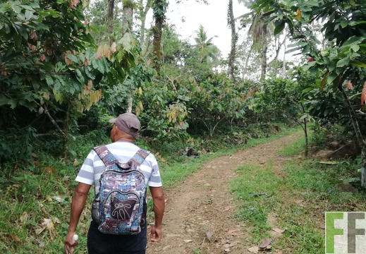 Finca Rio Uyama 2018