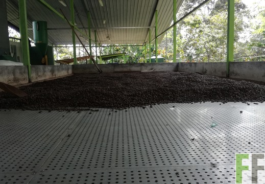 Finca Quebrada Limón 2018