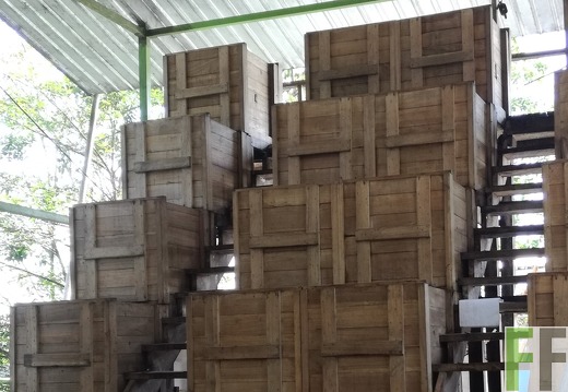 Finca Quebrada Limón 2018