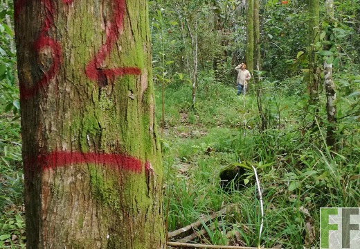 Finca Los Monos IV 2018