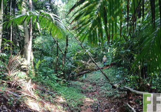 Finca Los Monos IV 2018