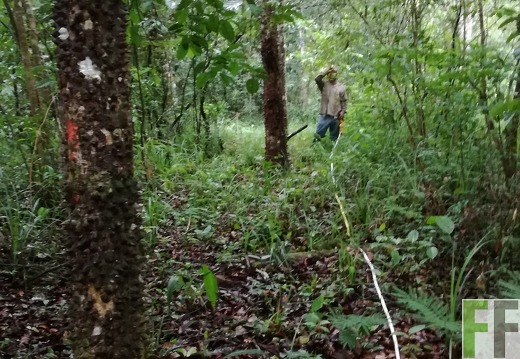 Finca Los Monos III 2018