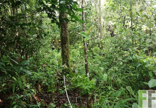 Finca Los Monos I 2018