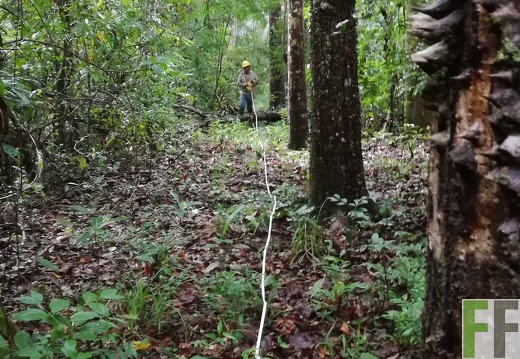 Finca Los Monos I 2018