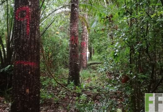 Finca Los Monos I 2018