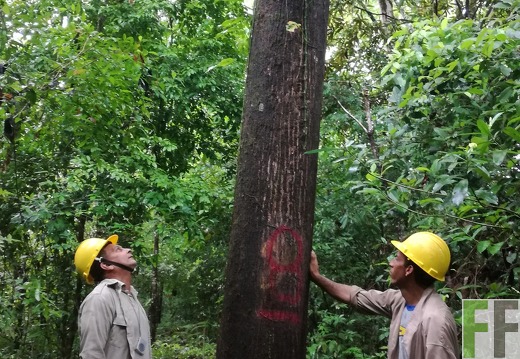 Finca Los Monos I 2018