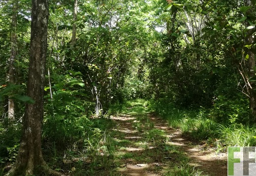 Finca Los Rios III 2018