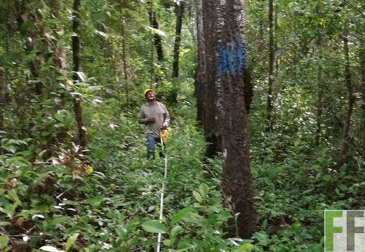 Finca Los Rios III 2018