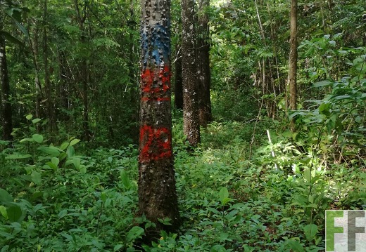 Finca Los Rios III 2018