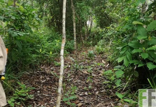 Finca Los Rios II 2018