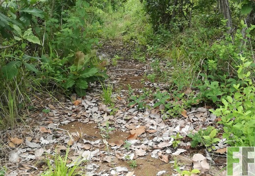 Finca Los Rios II 2018