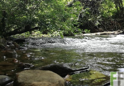 Finca Los Rios II 2018