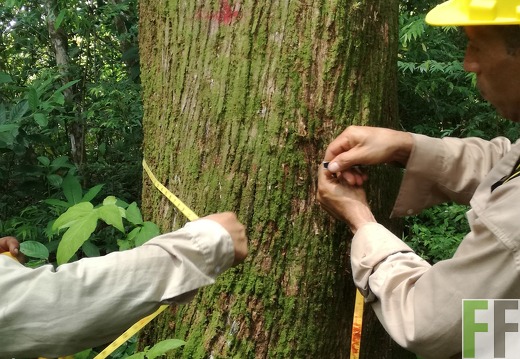 Finca Los Rios I 2018