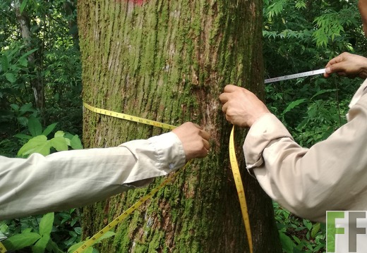 Finca Los Rios I 2018