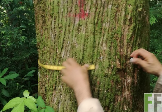 Finca Los Rios I 2018