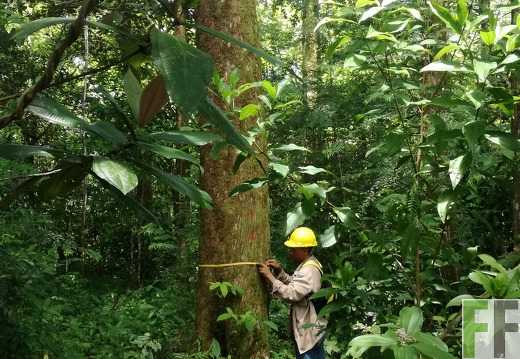 Finca Los Rios I 2018