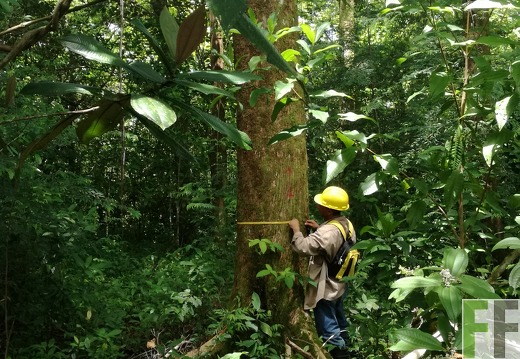 Finca Los Rios I 2018