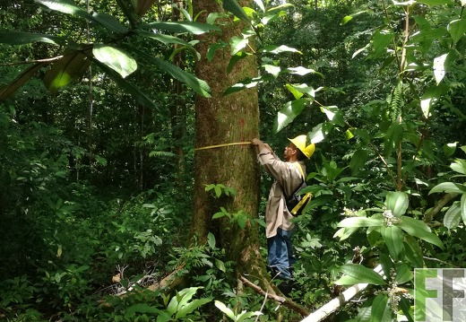 Finca Los Rios I 2018