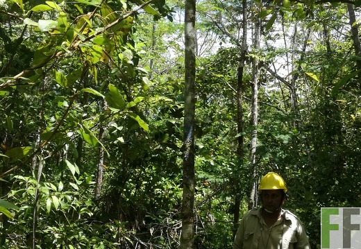 Finca Los Rios I 2018