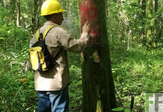 Finca Los Rios I 2018